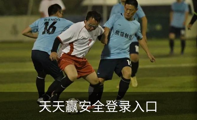 天天赢安全登录入口简介